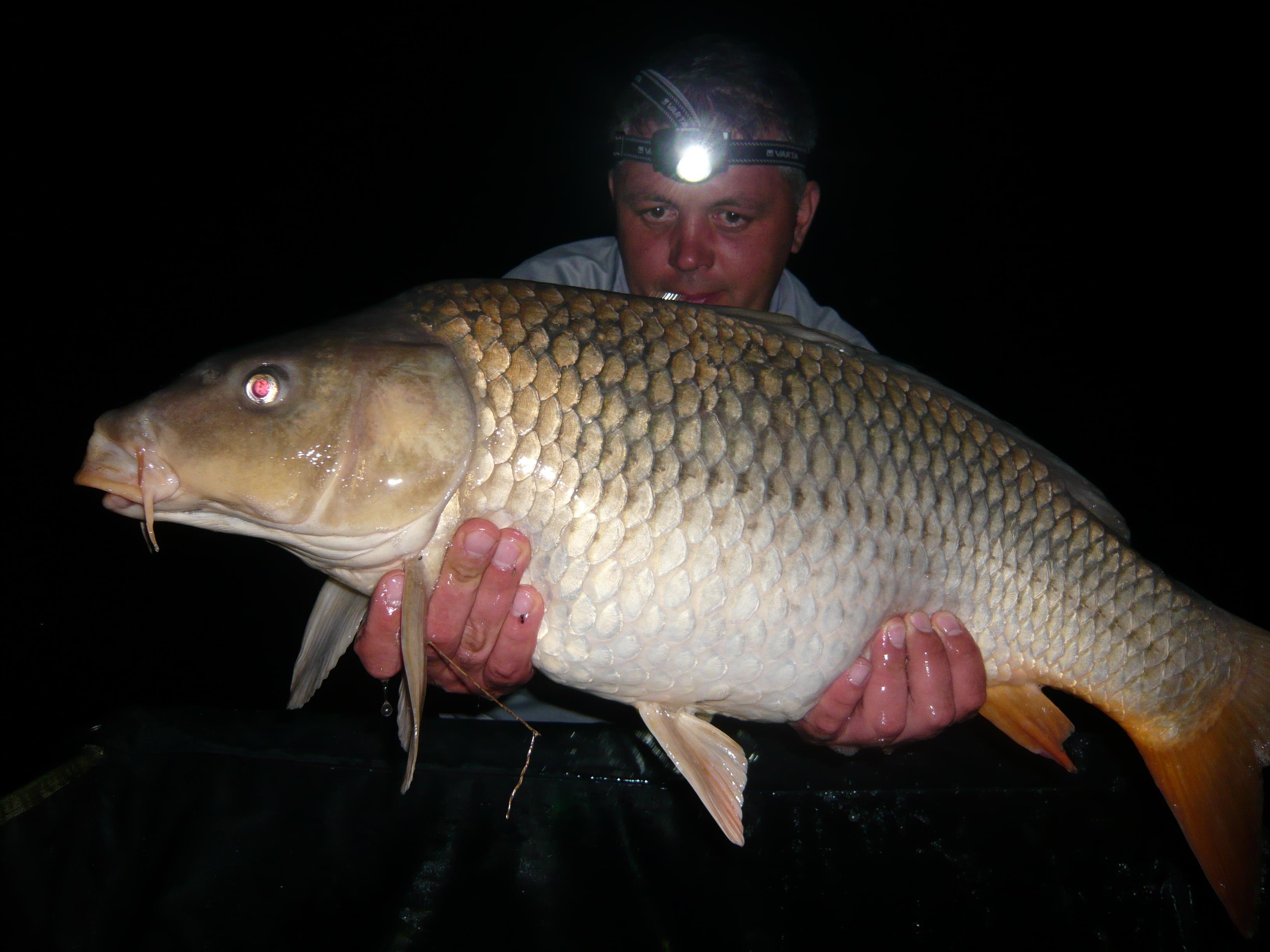 lates 2012 - P1020790.JPG